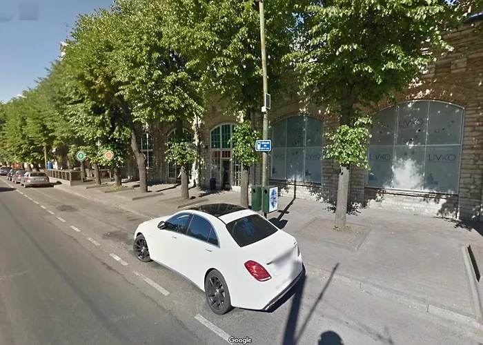 Distillery Factory Loft By Rotermann Apts דירה