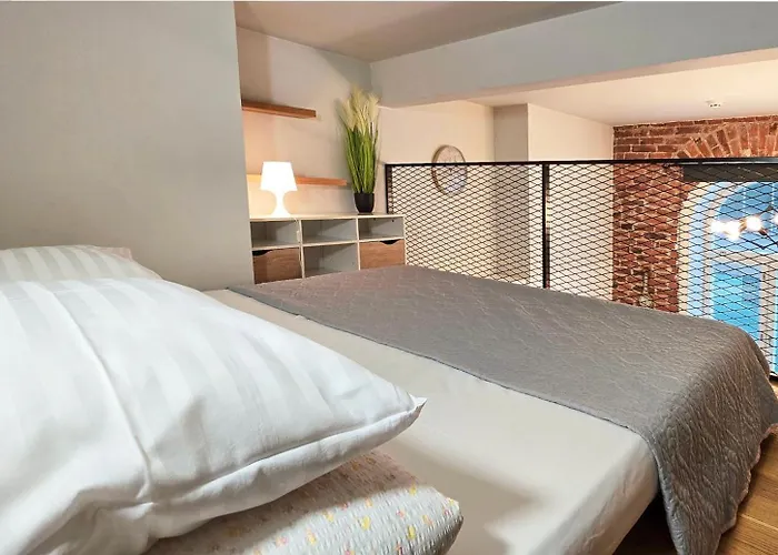 Distillery Factory Loft By Rotermann Apts 公寓